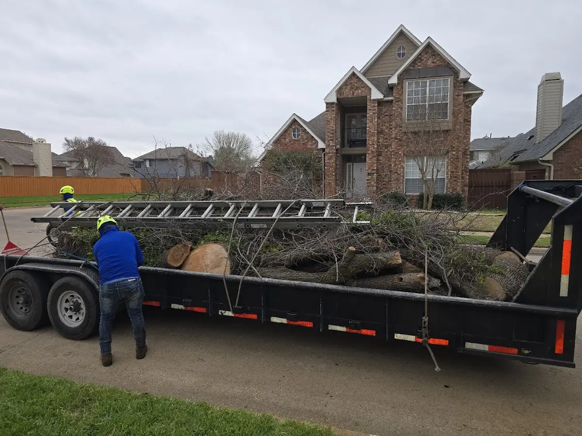 Expert Tree Removal with proper safety equipment in Brushton